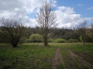 Prodej pozemku pro bydlení, Zbečno, 1245 m2