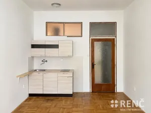 Pronájem bytu 1+kk, Brno, Dřevařská, 28 m2