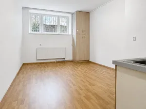 Pronájem bytu 1+kk, Brno, Bayerova, 30 m2