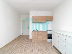 Prodej bytu 3+kk, Ostrava, Bohumínská, 53 m2