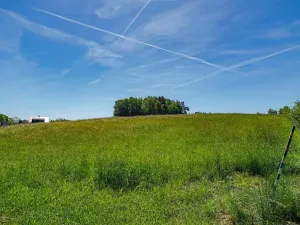 Prodej pozemku pro bydlení, Budislav, 1475 m2