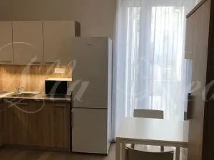Pronájem bytu 2+kk, Brno - Zábrdovice, Francouzská, 40 m2