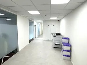 Pronájem kanceláře, Praha - Holešovice, Dělnická, 1252 m2