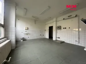 Prodej obchodního prostoru, Žatec, 900 m2
