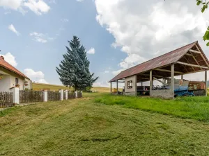 Prodej domu, Neveklov - Borovka, 550 m2