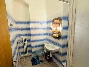 Pronájem apartmánu, Karlovy Vary, Zámecký vrch, 200 m2
