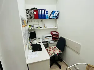 Pronájem apartmánu, Karlovy Vary, Zámecký vrch, 200 m2