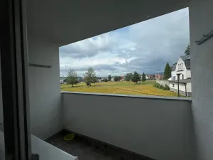 Pronájem bytu 3+kk, Ostrov, Družební, 66 m2