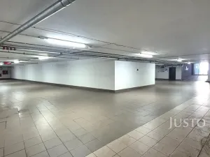 Pronájem garáže, Písek, Švantlova, 17 m2