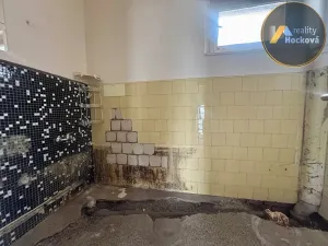 Prodej vícegeneračního domu, Kolín, Ke Hřbitovu, 264 m2