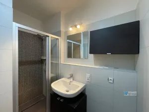 Pronájem bytu 1+kk, Zbuzany, Na Návsi, 42 m2
