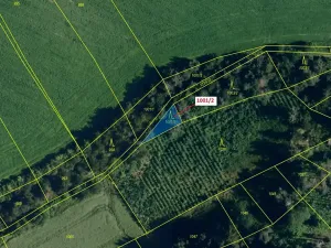 Dražba lesa, Březí nad Oslavou, 150 m2