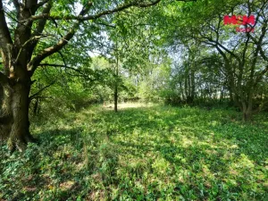 Prodej zahrady, Golčův Jeníkov - Sirákovice, 603 m2