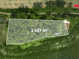 Prodej lesa, Libochovice - Dubany, 8199 m2