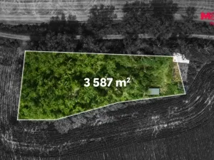 Prodej lesa, Libochovice - Dubany, 8199 m2