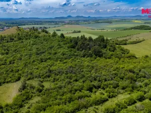Prodej lesa, Libochovice - Dubany, 8199 m2