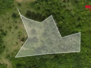 Prodej lesa, Libochovice - Dubany, 8199 m2