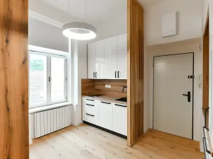 Pronájem bytu 2+kk, Praha - Smíchov, Holečkova, 36 m2