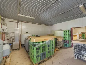 Prodej zemědělského objektu, Velké Pavlovice, Trávníky, 400 m2
