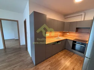 Pronájem bytu 2+kk, Plzeň, Vochovská, 48 m2