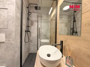 Prodej bytu 1+kk, České Budějovice - České Budějovice 3, Plzeňská, 21 m2