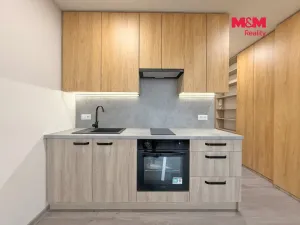 Prodej bytu 1+kk, České Budějovice - České Budějovice 3, Plzeňská, 21 m2
