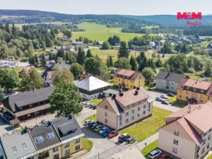 Prodej bytu 3+1, Borová Lada, 70 m2