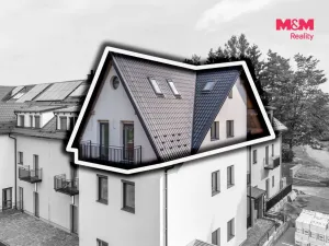Prodej bytu 3+kk, Herálec, 96 m2