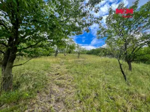 Prodej chaty, Litoměřice, 40 m2