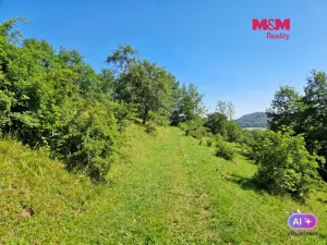 Prodej louky, Starý Šachov, 89774 m2