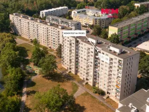 Prodej bytu 3+1, Pardubice - Polabiny, Lonkova, 97 m2