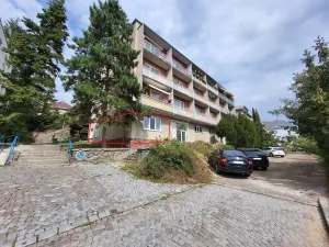 Prodej bytu 2+1, Brno - Pisárky, Preslova, 56 m2