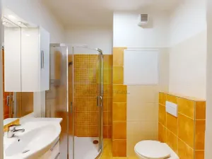 Pronájem bytu 1+kk, Olomouc, Janského, 28 m2