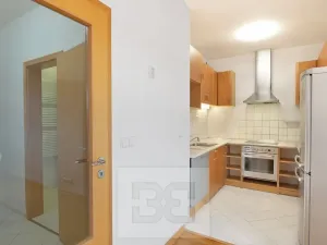 Pronájem bytu 4+kk, Praha - Vokovice, Irská, 153 m2