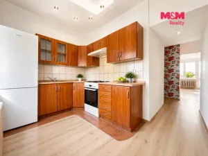 Prodej bytu 3+1, Krnov - Pod Bezručovým vrchem, Maxima Gorkého, 64 m2