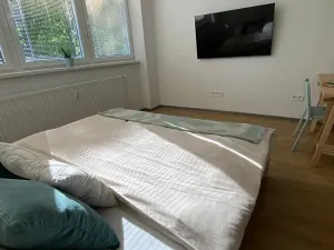 Pronájem bytu 1+kk, Třeboň, Nádražní, 35 m2