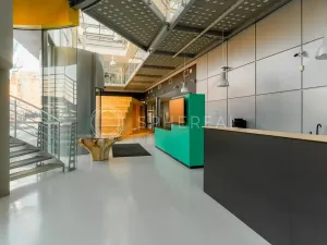 Pronájem obchodního prostoru, Brno - Zábrdovice, Plynárenská, 1000 m2