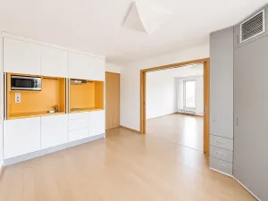 Pronájem bytu 5+kk, Praha - Smíchov, U Dívčích hradů, 202 m2