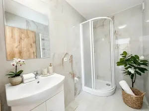 Prodej bytu 3+kk, Brno, Elišky Krásnohorské, 50 m2