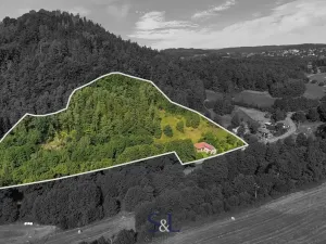 Prodej pozemku pro bydlení, Proseč pod Ještědem, 19100 m2
