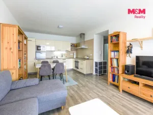 Pronájem bytu 2+kk, Plzeň - Východní Předměstí, Jablonského, 58 m2