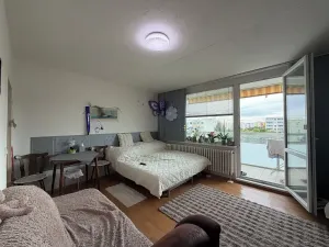Prodej bytu 2+kk, Brno, Ukrajinská, 45 m2