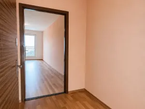 Prodej bytu 1+kk, Ostrava - Zábřeh, Petruškova, 30 m2