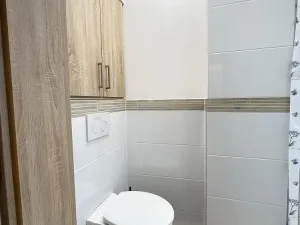 Prodej bytu 1+kk, Opava - Předměstí, Alšova, 15 m2