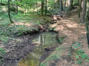 Prodej pozemku pro bydlení, Oldřichov v Hájích, 1312 m2