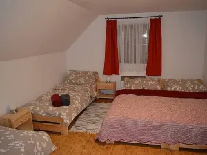 Prodej domu, Těchonín, 240 m2