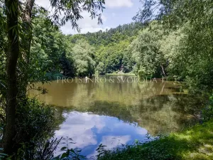 Prodej chalupy, Samopše, 642 m2
