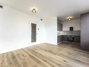 Pronájem bytu 2+kk, Praha - Radlice, U Komína, 45 m2