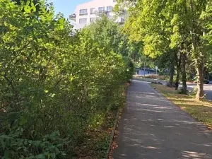 Prodej bytu 4+kk, Praha - Motol, Kudrnova, 120 m2