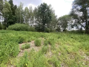 Prodej louky, Nové Hrady - Štiptoň, 6751 m2